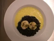 Jakobsmuscheln auf Belugalinsen mit Safransoße - Rezept