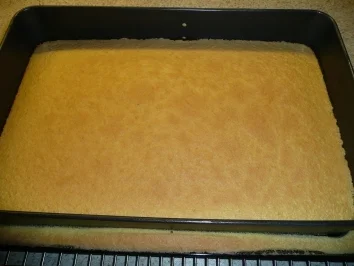 Erdbeer-Joghurtschnitten - Rezept - Bild Nr. 6