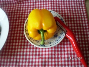 Italienischer Rindfleischsalat - Rezept - Bild Nr. 3