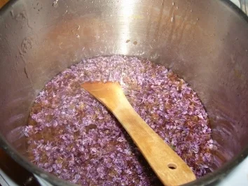 Fliederblütengelee, die Mühe lohnt sich!!! - Rezept - Bild Nr. 2