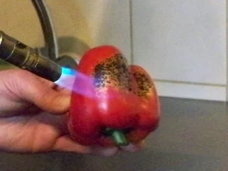 Paprika Zwiebel Salat - Rezept - Bild Nr. 2