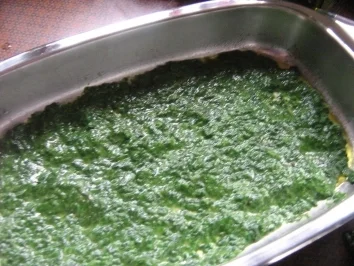 Lachs-Spinat-Lasagne - Rezept - Bild Nr. 4