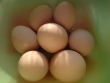 Rezept: Bunter Eiersalat Bild Nr. 4 Bunter Eiersalat - Rezept - Bild Nr. 4