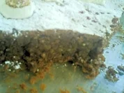 Mandel-Schoko-Torte meiner Tochter Laura - Rezept