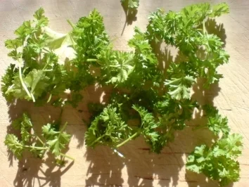 Garnierter Spargel - Rezept - Bild Nr. 3