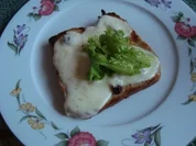 XY/ Feinsch - Diät - Abend - Mozzarellatoast - Rezept