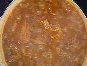 Rezept: Lamm vindaloo Lamm vindaloo - Rezept