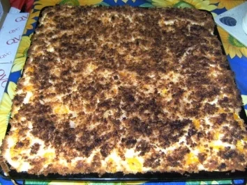 BLECHKUCHEN - Mandarinenkuchen - Rezept