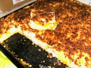 BLECHKUCHEN - Mandarinenkuchen - Rezept - Bild Nr. 2