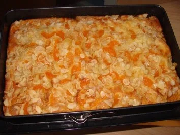 Mandarinenkuchen - Rezept - Bild Nr. 3