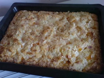 Mandarinenkuchen - Rezept - Bild Nr. 23