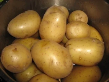 Grumbeere und weiße Käse - Rezept - Bild Nr. 5