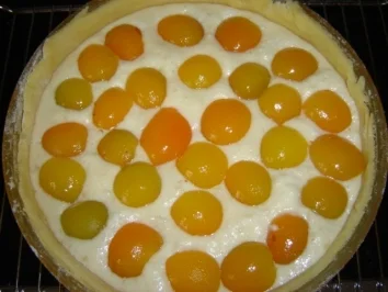 APRIKOSEN-SAHNEQUARK-TORTE - Rezept - Bild Nr. 12