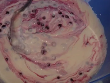 Heidelbeer - Schmand - Torte von Liesa - Rezept - Bild Nr. 5