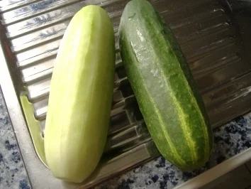 Rezept: Schmorgurkenragout Bild Nr. 2 Schmorgurkenragout - Rezept - Bild Nr. 2