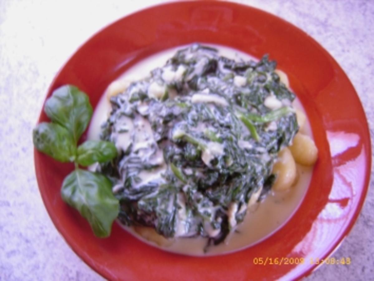 Gnocchi an Spinat - Gorgonzola - Sauce - Rezept - Bild Nr. 14