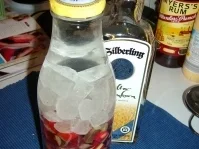 Rezept: Rhabarberlikör, was man mit dem so alles anstellen kann!!! Bild Nr. 2 Rhabarberlikör, was man mit dem so alles anstellen kann!!! - Rezept - Bild Nr. 2