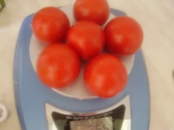 Rezept: Gurkenragaut mit Lachs auf grüne Nudeln Bild Nr. 4 Gurkenragaut mit Lachs auf grüne Nudeln - Rezept - Bild Nr. 4