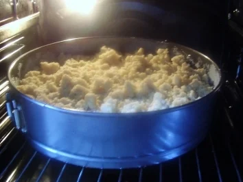 Quark-Heidelbeeren-Streuselkuchen - Rezept - Bild Nr. 16