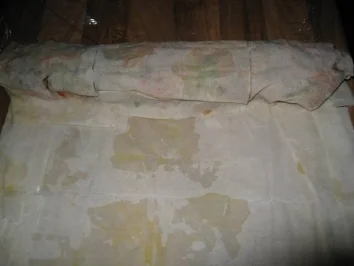 Rezept: Wokgemüse mit Thunfisch im Strudelmantel Bild Nr. 3 Wokgemüse mit Thunfisch im Strudelmantel - Rezept - Bild Nr. 3