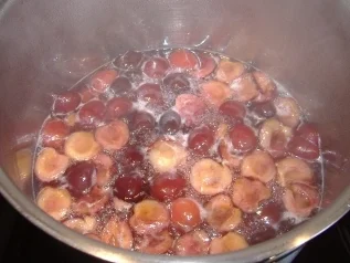 Sommerliche Kirschsuppe - Rezept - Bild Nr. 3