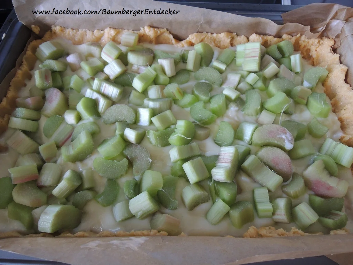 Rhabarber Kuchen - Rezept - Bild Nr. 87