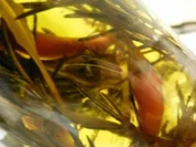 Rezept: SELBSTGEMACHTES AROMATISCHES รL SELBSTGEMACHTES AROMATISCHES รL - Rezept