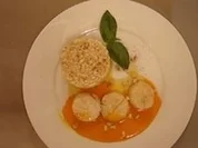 Jakobsmuscheln auf Pinienkernrisotto mit Orangen-Safran-Soße - Rezept