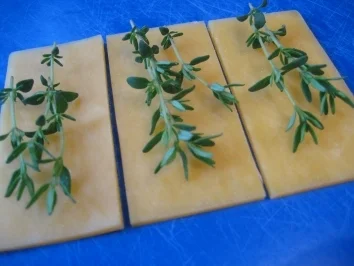 Fischstäbchen mit Kik ... - Rezept - Bild Nr. 3