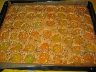 Rezept: Saftiger Aprikosenkuchen! Saftiger Aprikosenkuchen! - Rezept