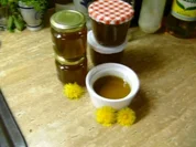 Löwenzahnhonig - Rezept
