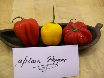 ROASTED TURKEY  "nigerian style" - Rezept - Bild Nr. 2