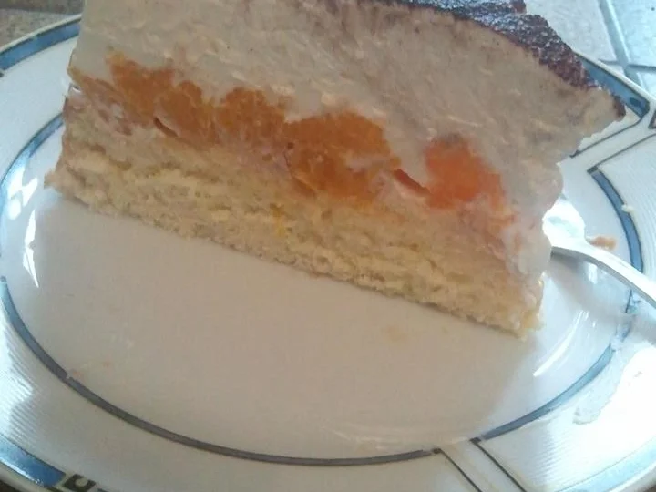 Schmand-Kuchen mit Mandarinen - Rezept - Bild Nr. 478