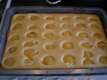 DER Marillenkuchen - Rezept