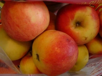 Apfeltorte - Rezept - Bild Nr. 8