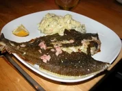 Rezept: Maischolle mit selbstgemachtem Kartoffelsalat Maischolle mit selbstgemachtem Kartoffelsalat - Rezept