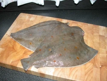 Rezept: Maischolle mit selbstgemachtem Kartoffelsalat Bild Nr. 3 Maischolle mit selbstgemachtem Kartoffelsalat - Rezept - Bild Nr. 3