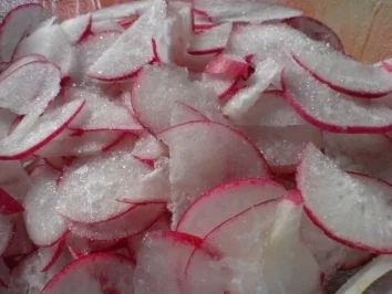 Rezept: Radieschensalat Bild Nr. 7 Radieschensalat - Rezept - Bild Nr. 7