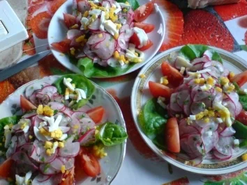 Rezept: Radieschensalat Bild Nr. 14 Radieschensalat - Rezept - Bild Nr. 14