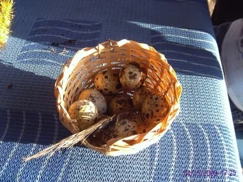 Gartenkräutersuppe mit Wachteleier - Rezept - Bild Nr. 3