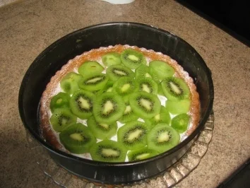 Rezept: Joghurt-Torte ohne Backen Bild Nr. 2 Joghurt-Torte ohne Backen - Rezept - Bild Nr. 2