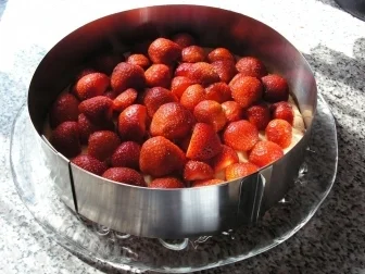 Rezept: Frischkäsetorte mit Erdbeeren 2 Bild Nr. 3 Frischkäsetorte mit Erdbeeren 2 - Rezept - Bild Nr. 3