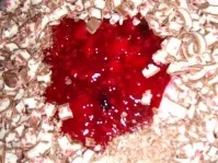 Fruchtige Joghurtspeise - Rezept