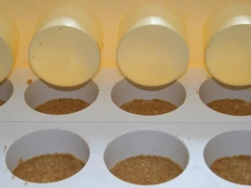 Rotwein Creme - Rezept - Bild Nr. 6