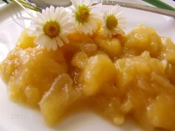 Rezept: Apfel-Rhabarber-Kompott aus dem Brotbackautomaten Apfel-Rhabarber-Kompott aus dem Brotbackautomaten - Rezept