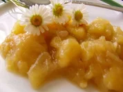 Apfel-Rhabarber-Kompott aus dem Brotbackautomaten - Rezept