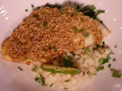 Steinbutt in Honig-Sesamkruste auf Graupen-Kokosrisotto - Rezept