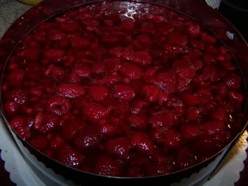 Himbeer-Joghurt-Torte - Rezept - Bild Nr. 9