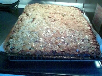 Rharbarber-Butterkuchen! - Rezept