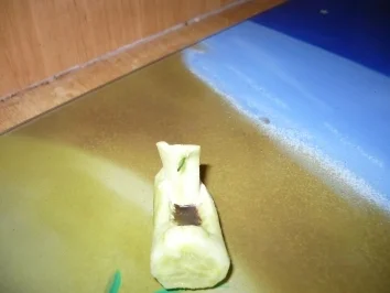 Brunnen aus Gurke - Rezept - Bild Nr. 2